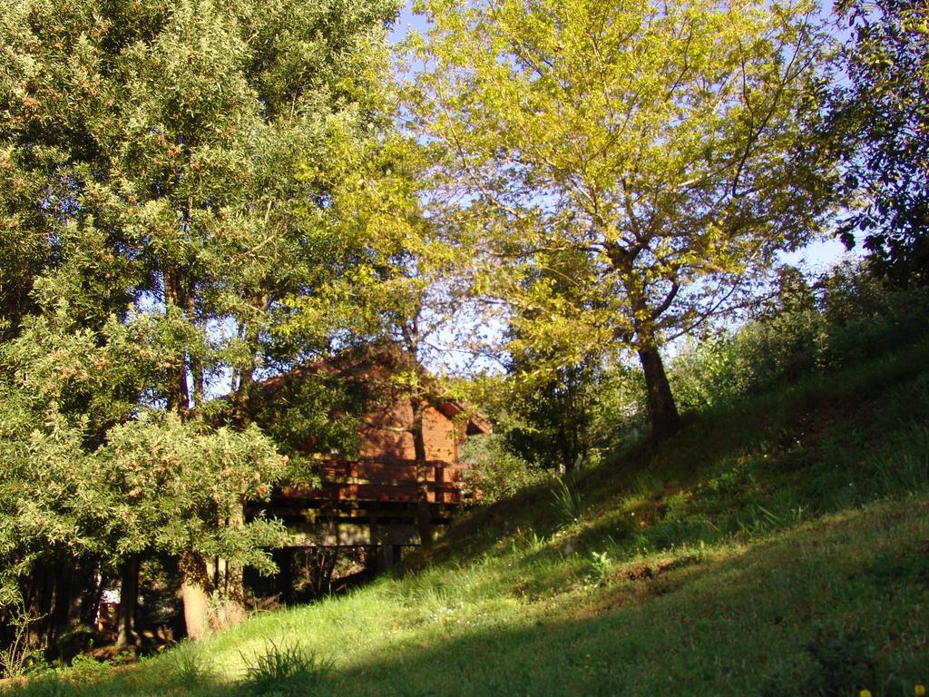 בית הארחה וילה נובה דה סרביירה 	Cabana De Santo Antonio מראה חיצוני תמונה